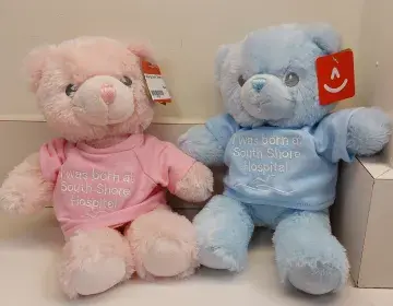 born at south shore hospital bear