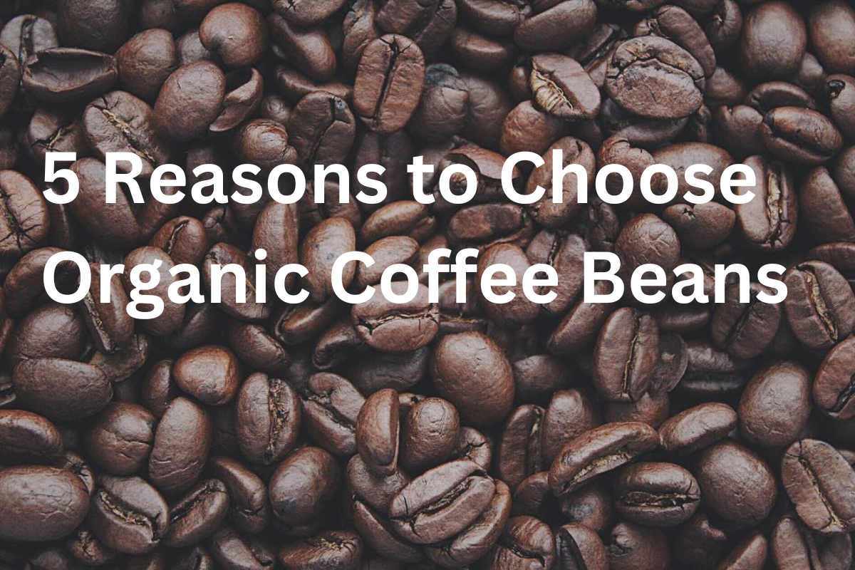 coffee beans organic