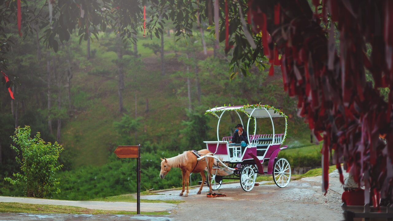 Central Park Private Horse Ride New York City
